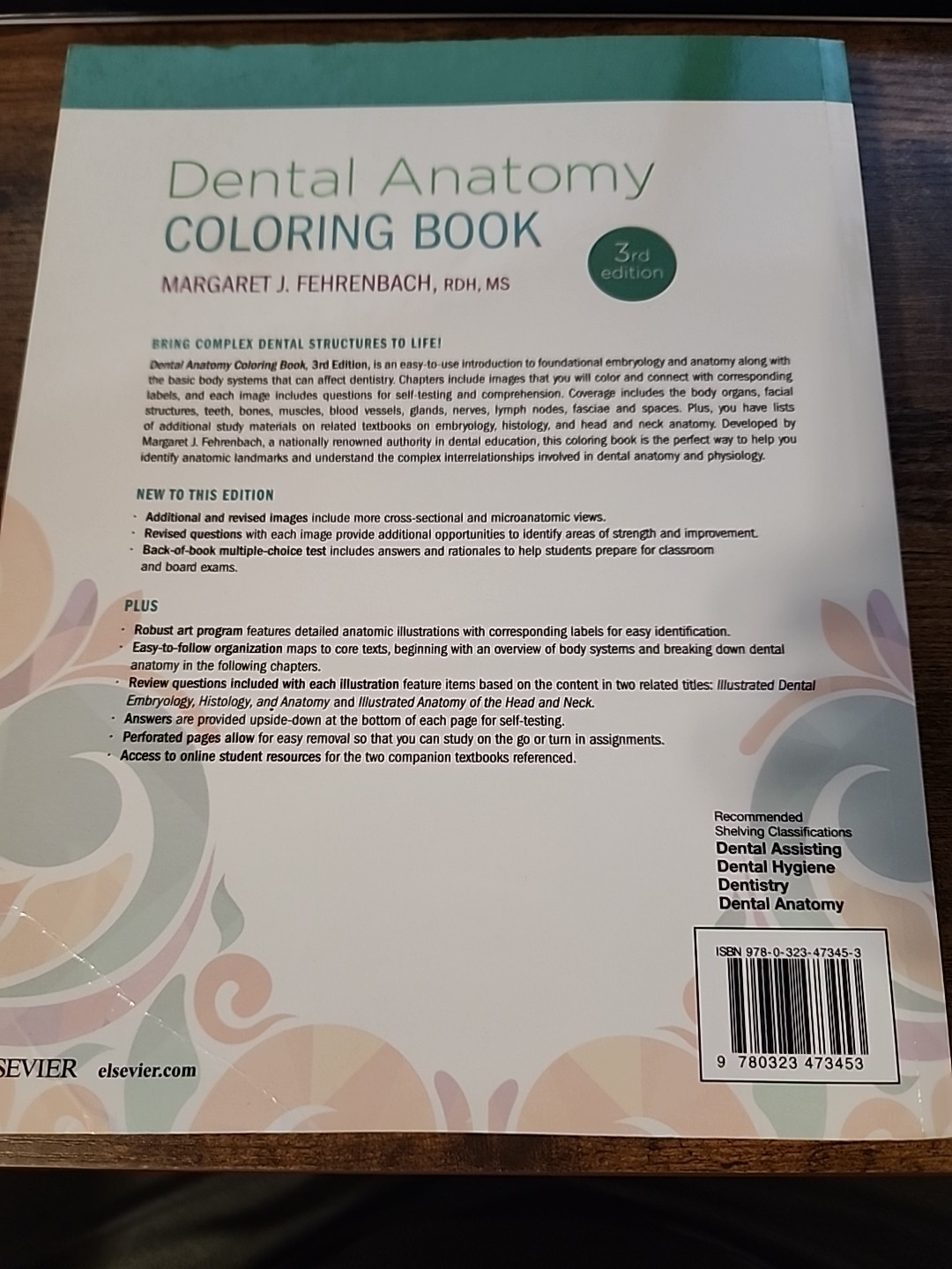 Dental Anatomy Coloring Book – Paperback, by Fehrenbach RDH MS Margaret – ACCEPT