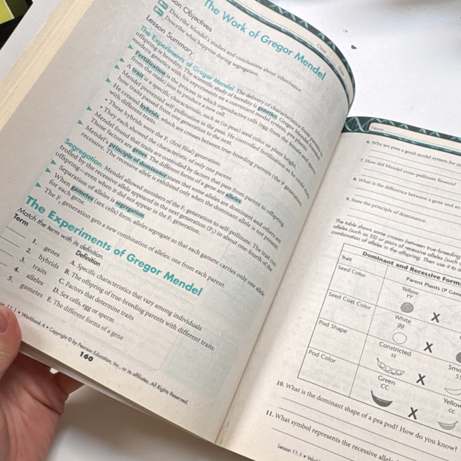 Miller & Levine Biology Study Workbook A 2008 Paperback 160 Pages Intermediate