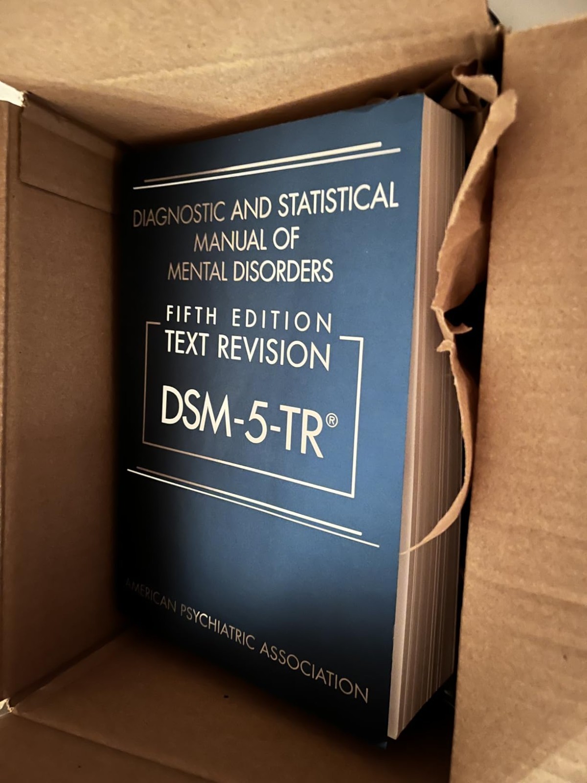 Diagnostic and Statistical Manual of Mental Disorders, Text Revision Dsm-5-tr